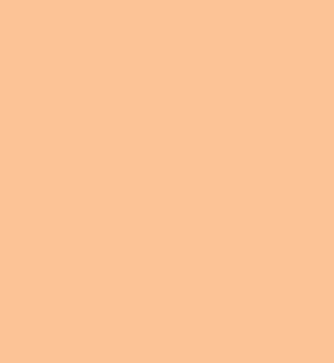 LAMINA GOMA EVA 20X30 PIEL | 10 UNIDADES | (FAIBO) Imagen principal del producto