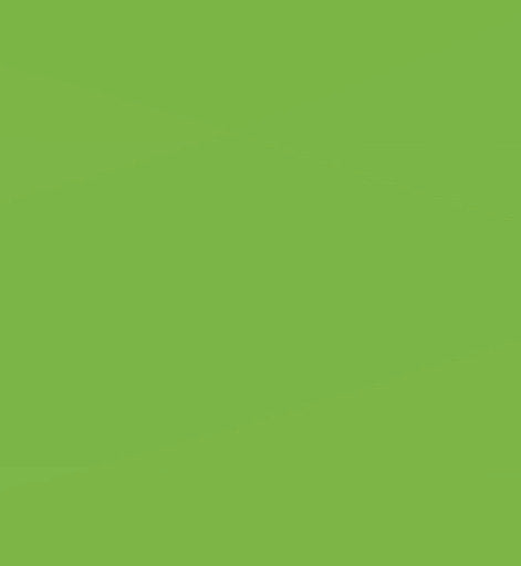 LAMINA GOMA EVA 20X30 VERDE CLARO | 10 UNIDADES | (FAIBO)