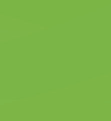 LAMINA GOMA EVA 20X30 VERDE CLARO | 10 UNIDADES | (FAIBO)