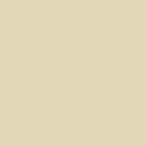 CARTULINA FABRIANO 185GR 50X65 ARENA | 25 UNIDADES | (SADIPAL)