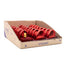 Expositor 23 Mini Colonia Cuore Red 20 ml Casa Aromas