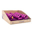 Expositor 23 Mini Colonia Cuore Pink 20 ml Casa Aromas