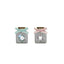 EXPOSITOR 24 RATONCITO PEREZ BOTE GUARDA-DIENTES | POESSA BISMARK GIFT | ENVASE 24 UDS. UNIDAD | 18430173334661
