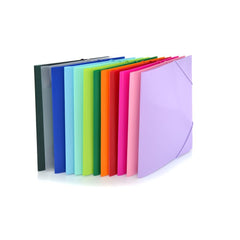 CARPETA GOMAS A4 PP COLOR LINE COLORES SURTIDOS | 12 UNIDADES | (FRAGA)