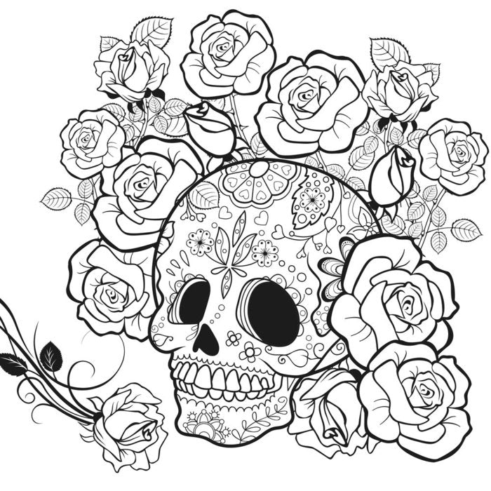 PANEL COLORING 30X30 F006 CALAVERA | 1 UNIDADES | (PHOENIXART) Imagen principal del producto