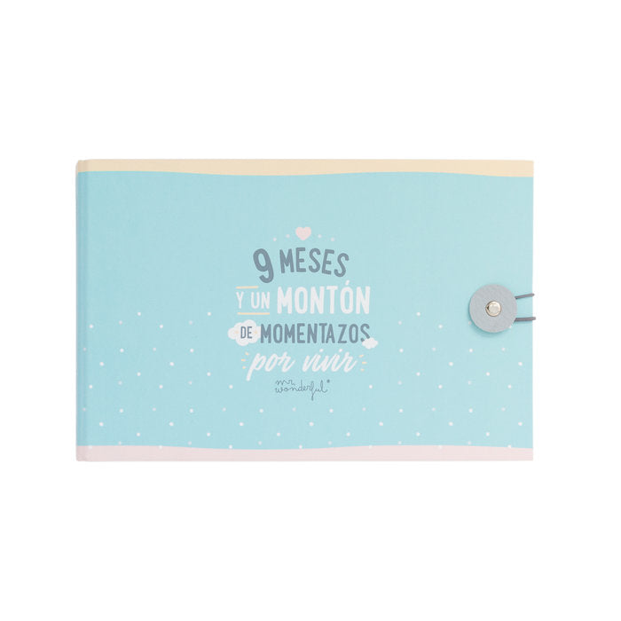 ALBUM - 9 MESES Y UN MONTON DE MOMENTAZOS POR VIVI | 1 UNIDADES | (MR WONDERFUL)