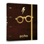 Carpeta 4 Anillas Troquelada Premium Gafas Harry Potter GRUPO ERIK MERCHANDISING
