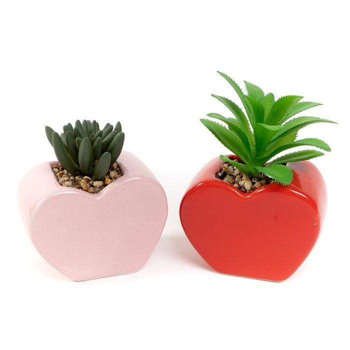 CACTUS EN MACETA FORMA CORAZON SURTIDOS | DCASA | 1 UNIDAD | 8435683233438