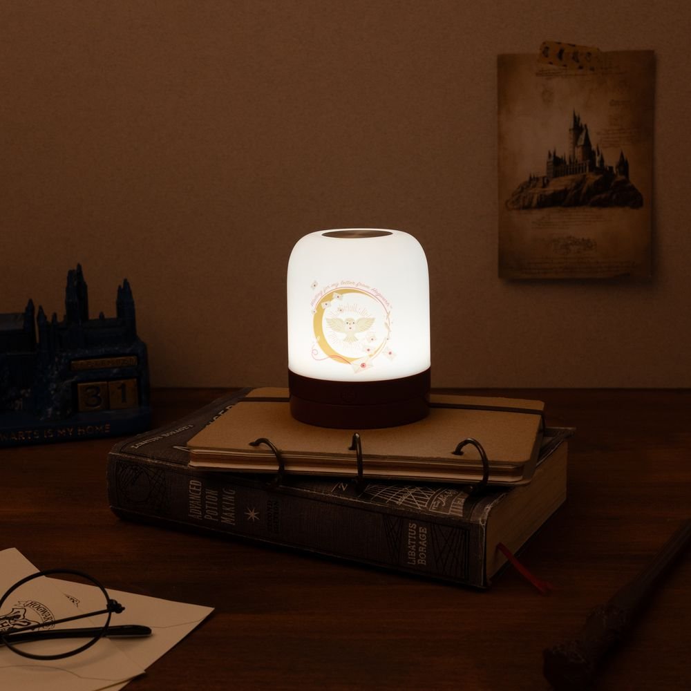 Lámpara de ambiente Harry Potter Hedwig | Grupo Erik