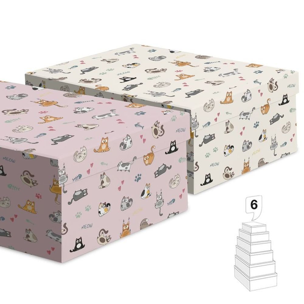 Juego 6 Cajas Gatos Surtidos Papelería del Paseo