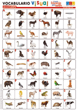 Animales: Vocabulario Visual Laminas Flexibles (Geu) - 8436548130046