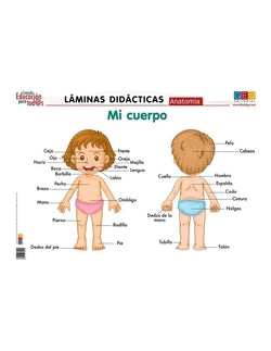 Anatomía-mi Cuerpo:láminas Didácticas (Geu) - 8436548130220