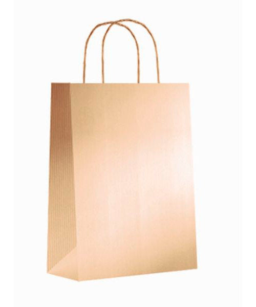 BOLSA KRAFT XS 18+8X24 ORO | ANDINA | ENVASE 50 UDS. UNIDAD | 8436557057198