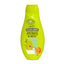 GEL DE DUCHA MELON 600ML THE FRUIT COMPANY 10U | THE FRUIT COMPANY | ENVASE 10 UDS. UNIDAD | 28436559717285