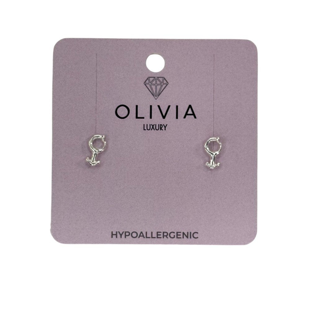 Pendientes Silver Hipoalergenico Bañados en Plata de Ley Olivia Luxury Imagen principal del producto