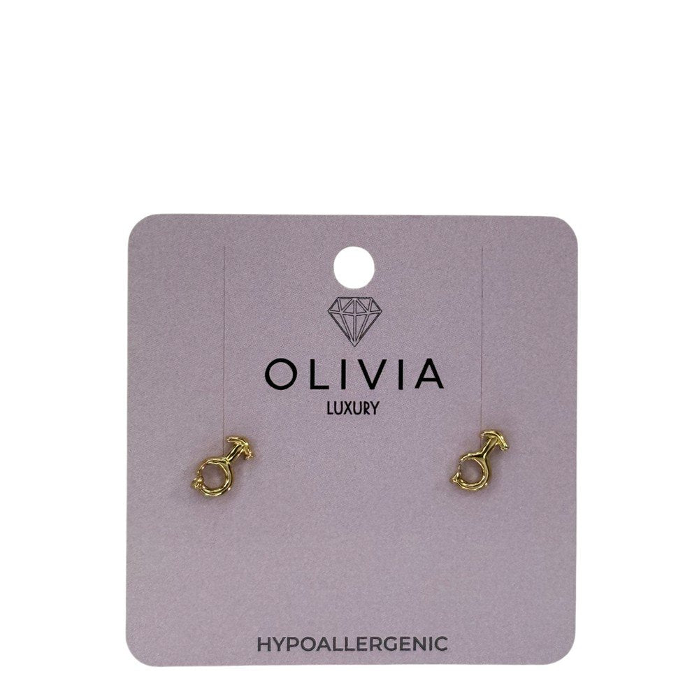 Pendientes Hombre Hipoalergenico Bañado en Oro 24K Olivia Luxury