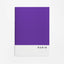Libreta A4 80gr grapa cuadros 4mm fluor morada Rubio (pack 5)