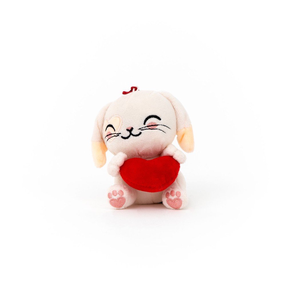 Expositor 6 Llaveros de Peluche Conejito con Corazón MR Wonderful Imagen principal del producto