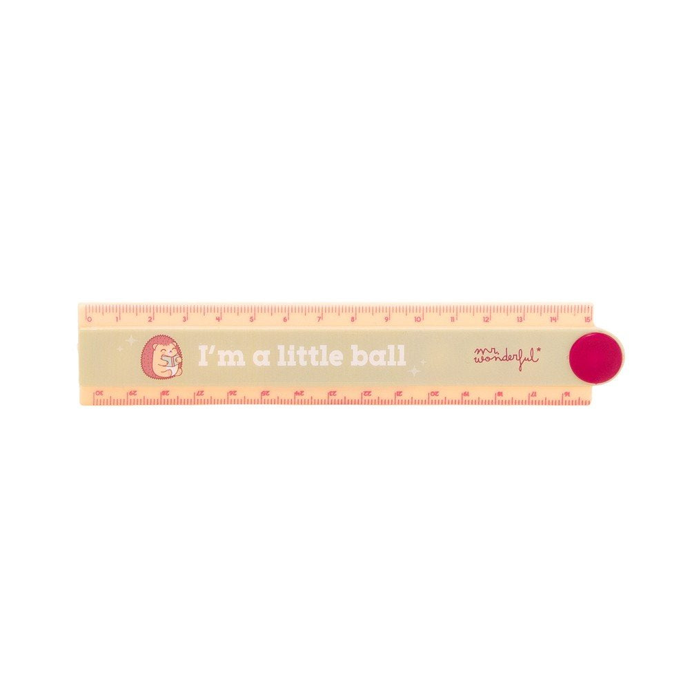 Regla plegable 30 cm MR WONDERFUL, pack 12 unidades