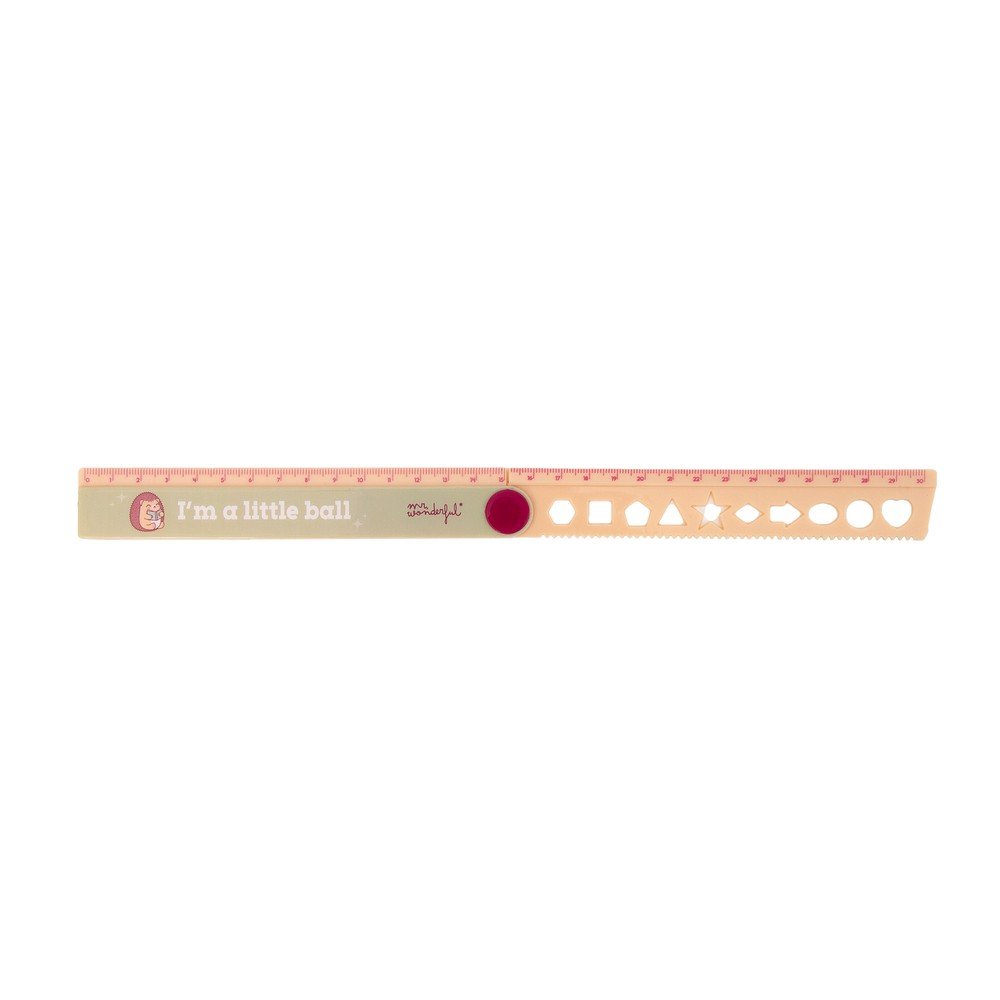 Regla plegable 30 cm MR WONDERFUL, pack 12 unidades