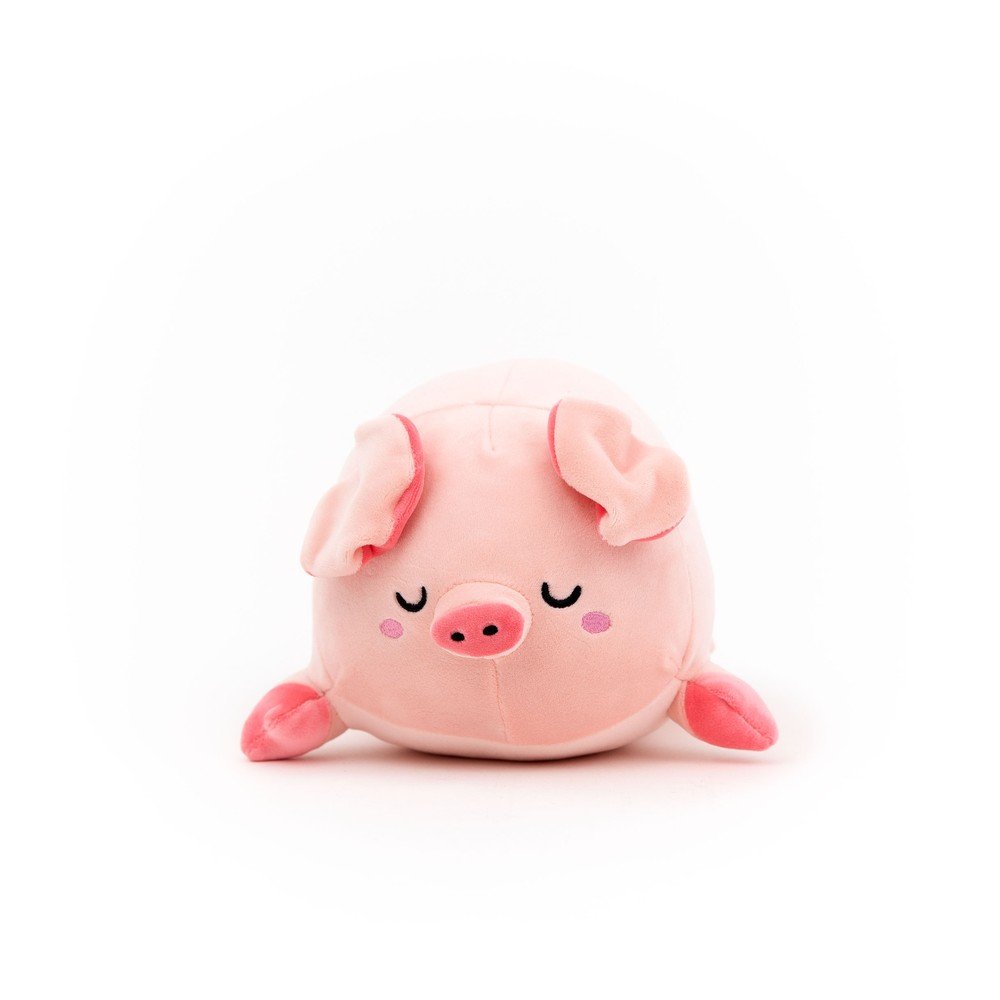 Peluche Lazy Cerdito MR WONDERFUL Imagen principal del producto