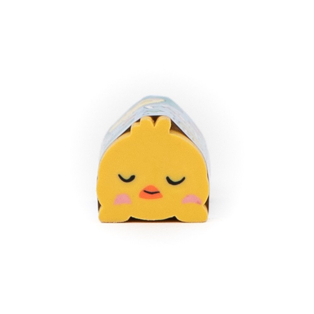 Expositor 12 Gomas de Borrar Lazy Cerdito MR Wonderful Imagen principal del producto
