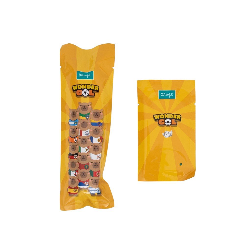 Bolígrafos borrables Capibaras Mr Wonderful, pack de 15