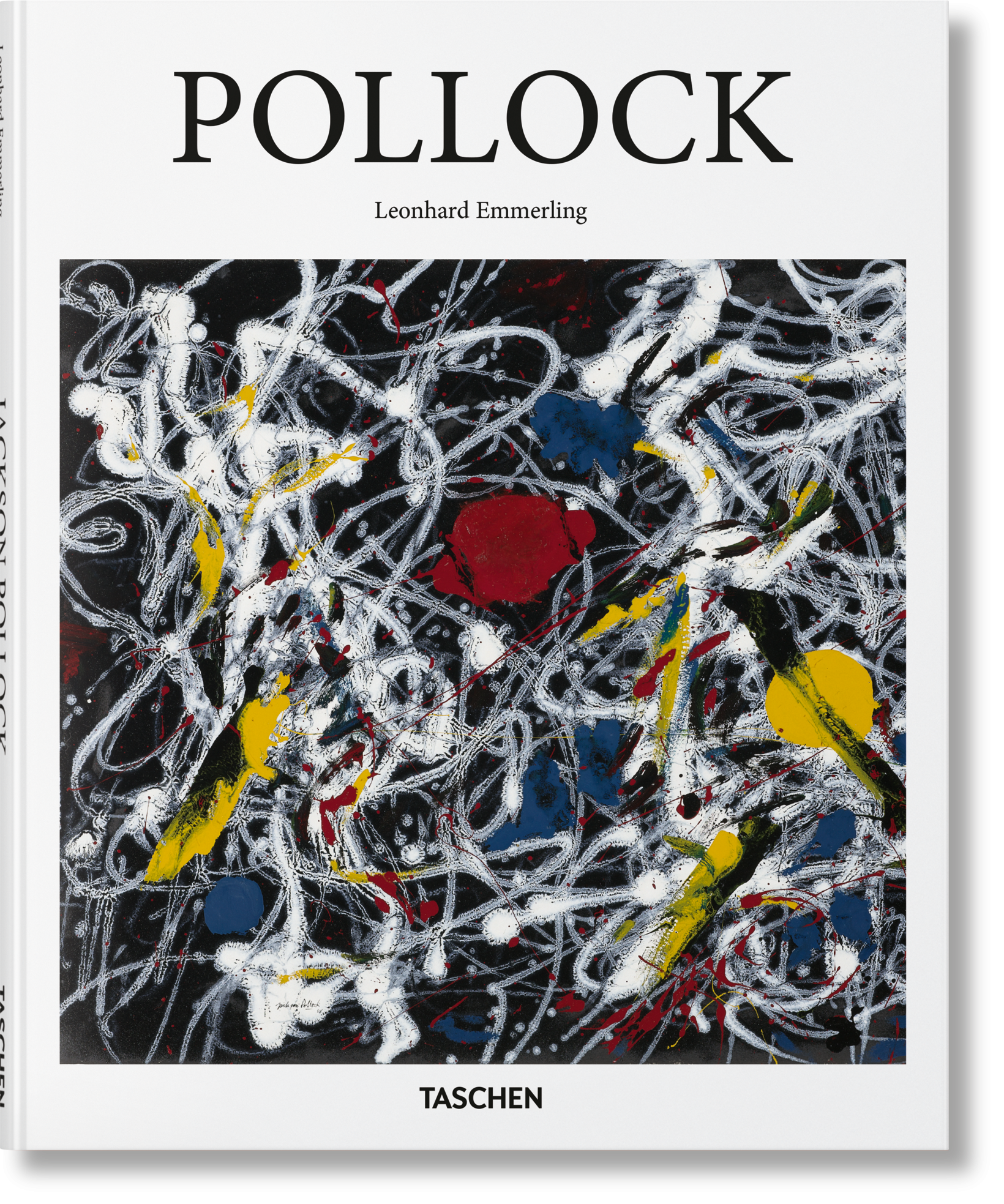 Pollock Imagen principal del producto