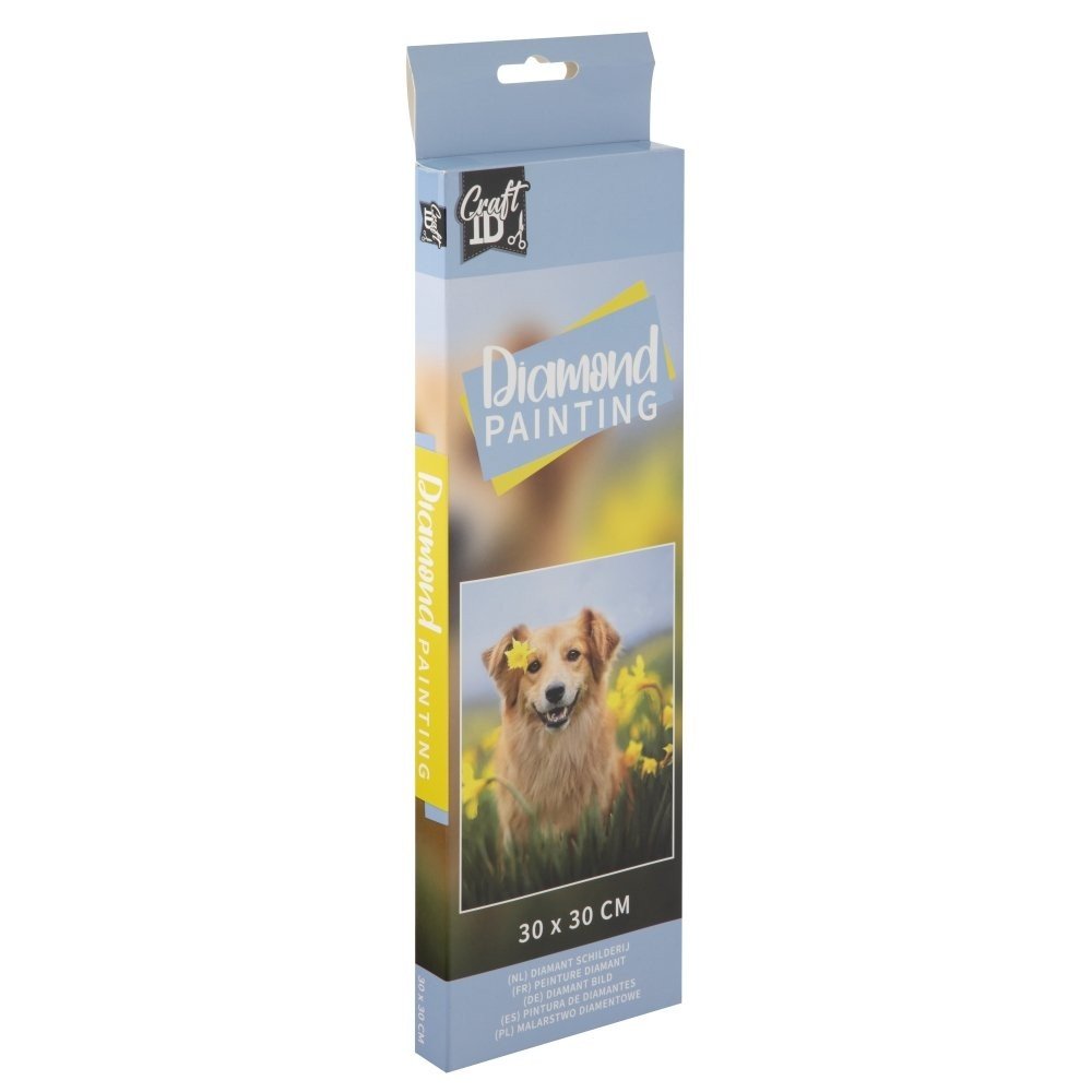 Pinta con Diamantes Perro 30 x 30 cm CCG Imagen principal del producto