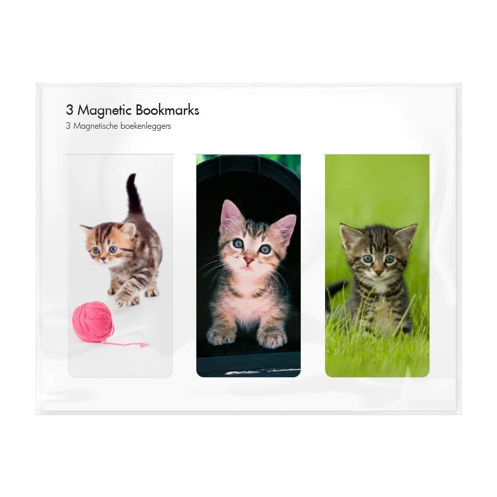 SET 3 MARCAPAGINAS MAGNETICOS FOTOS DE GATOS | 1 UNIDADES | (WEBSHOP ARTE) Imagen principal del producto