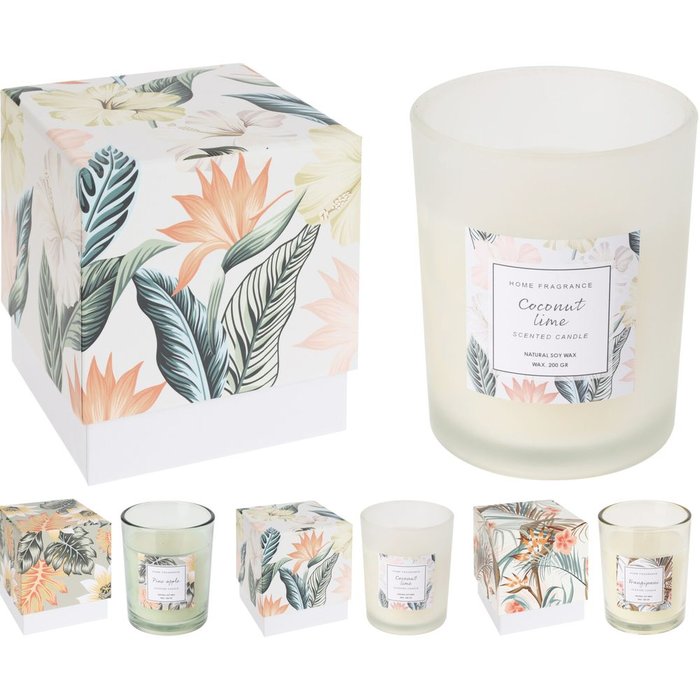 VELA AROMATICA CAJA REGALO SURTIDAS | KOOPMAN | 1 UNIDAD | 8720573542210 Imagen principal del producto