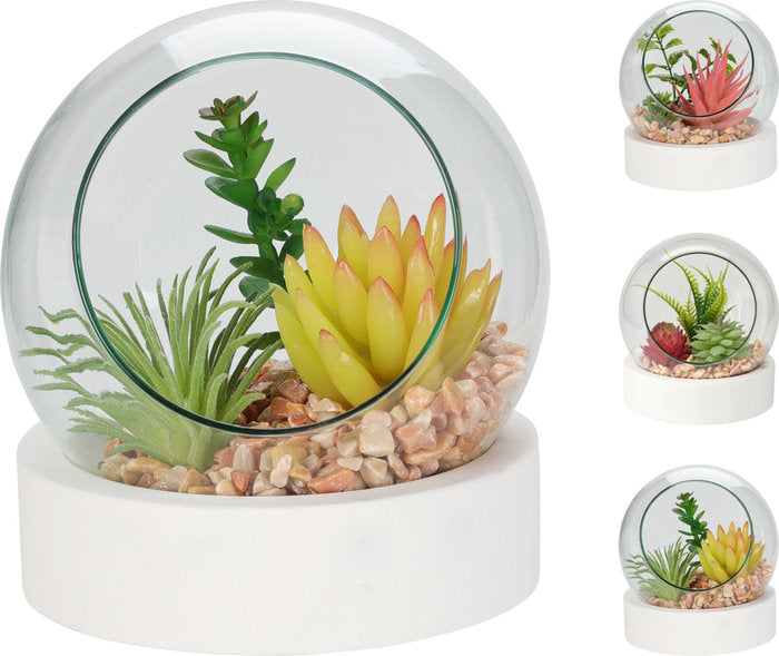 MINI JARDIN SURTIDOS | KOOPMAN | 1 UNIDAD | 8720573547055 Imagen principal del producto