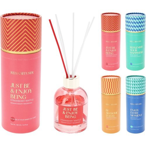MIKADO ART DIFUSOR DE FRAGANCIA SURTIDOS 100ML CAJA REGALO | KOOPMAN | 1 UNIDAD | 8721037397285 Imagen principal del producto