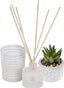 SET DE REGALO DECORATIVO Y JUEGO DE FRAGANCIAS SURTIDAS | KOOPMAN | 1 UNIDAD | 8721037447874