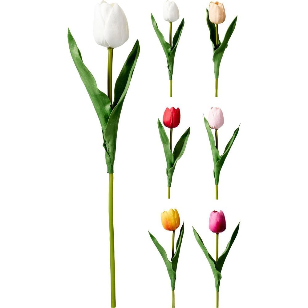 Tulipan 40 cm Colores Surtidos Koopman