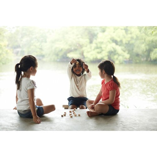 Juego de memoria con dados Plantoys 4128