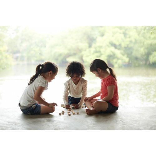 Juego de memoria con dados Plantoys 4128