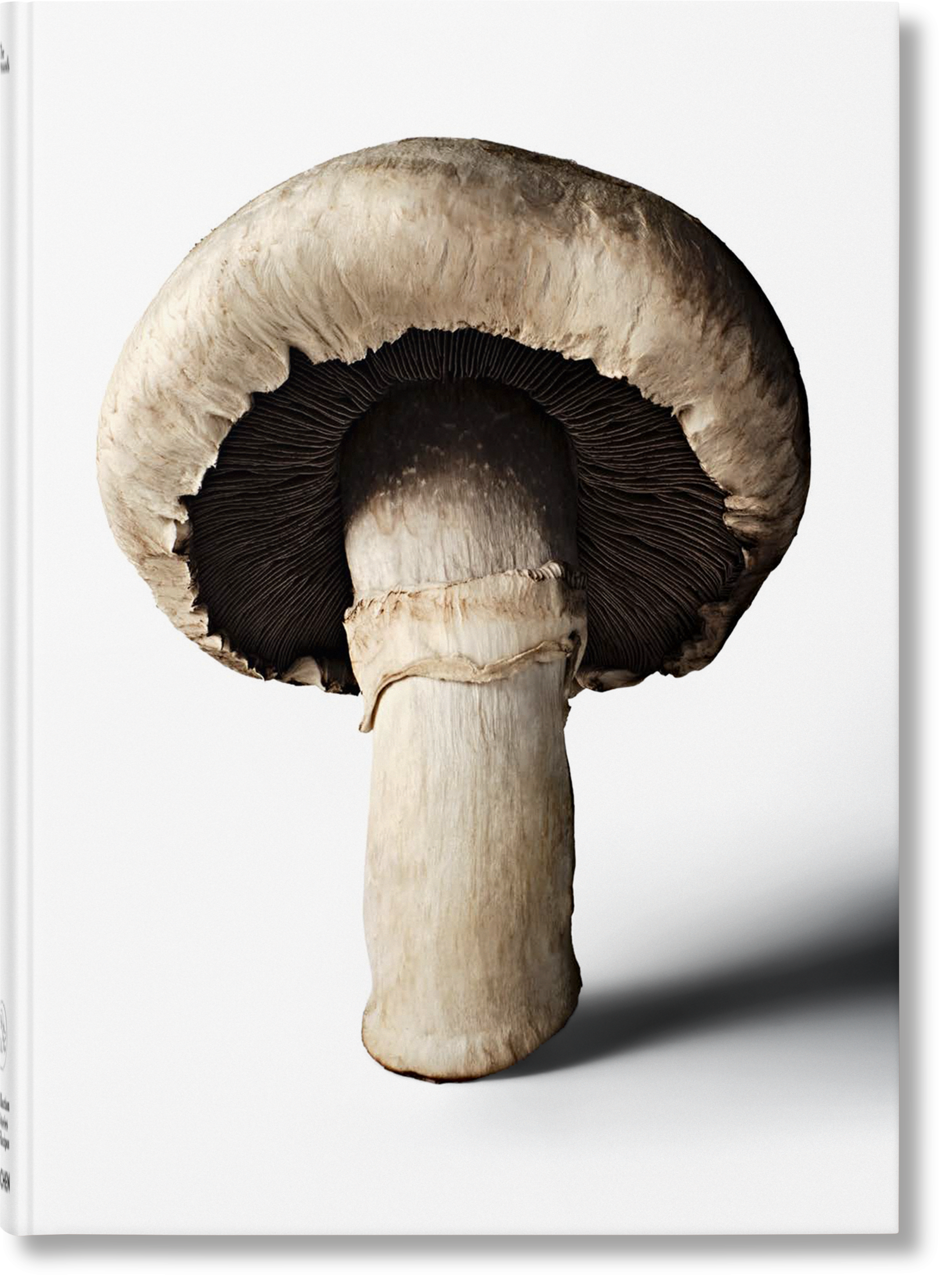 The Gourmand's Mushroom. A Collection of Stories and Recipes Imagen principal del producto