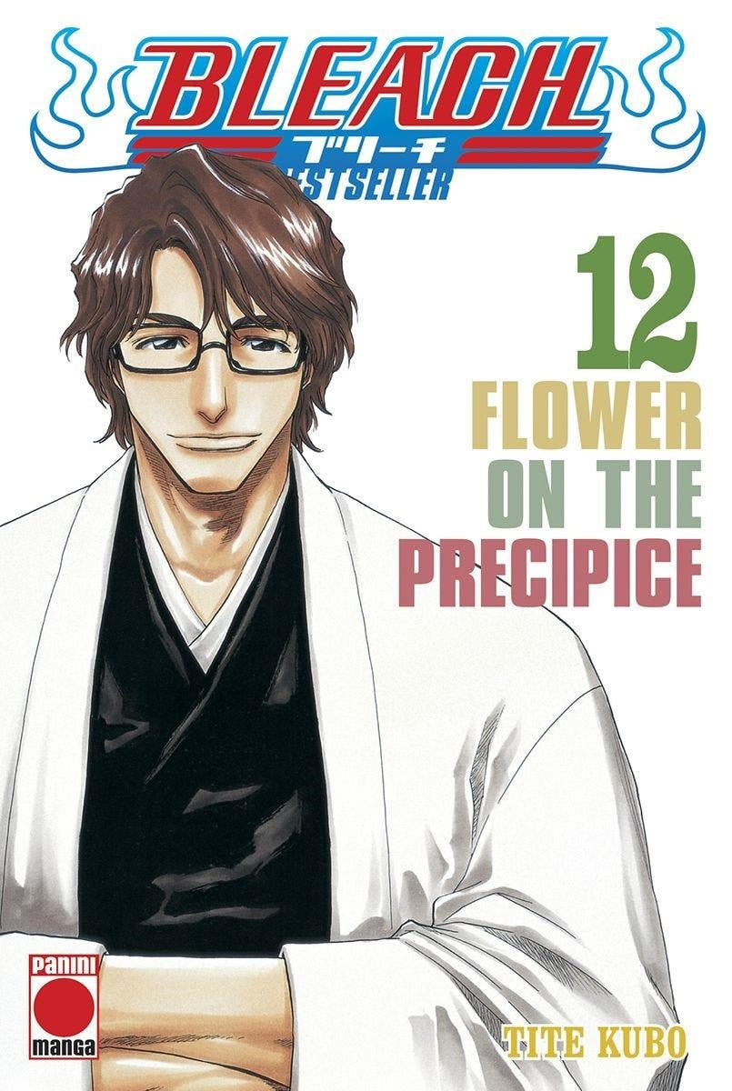 Bleach bestseller n.12