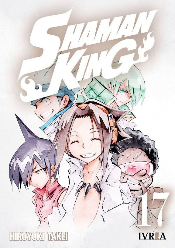 Shaman King 17