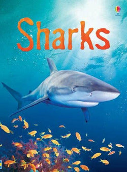 Sharks (Usborne Inglés) - 9780746074756