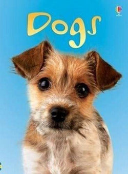 Dogs Beginners (Usborne Inglés) - 9780746080481