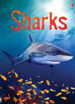 Sharks (Usborne Inglés) - 9780794515812
