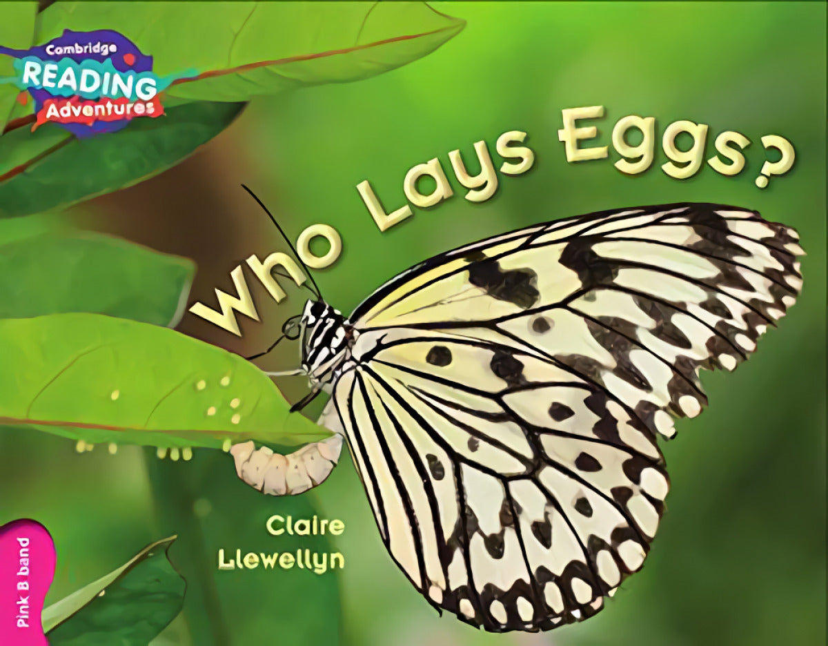 Who Lays Eggs? Pink B Band Imagen principal del producto