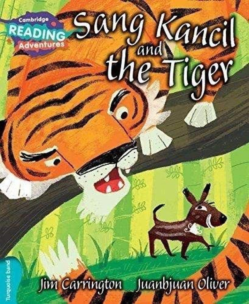 Sang Kancil And The Tiger Turquoise Band Imagen principal del producto