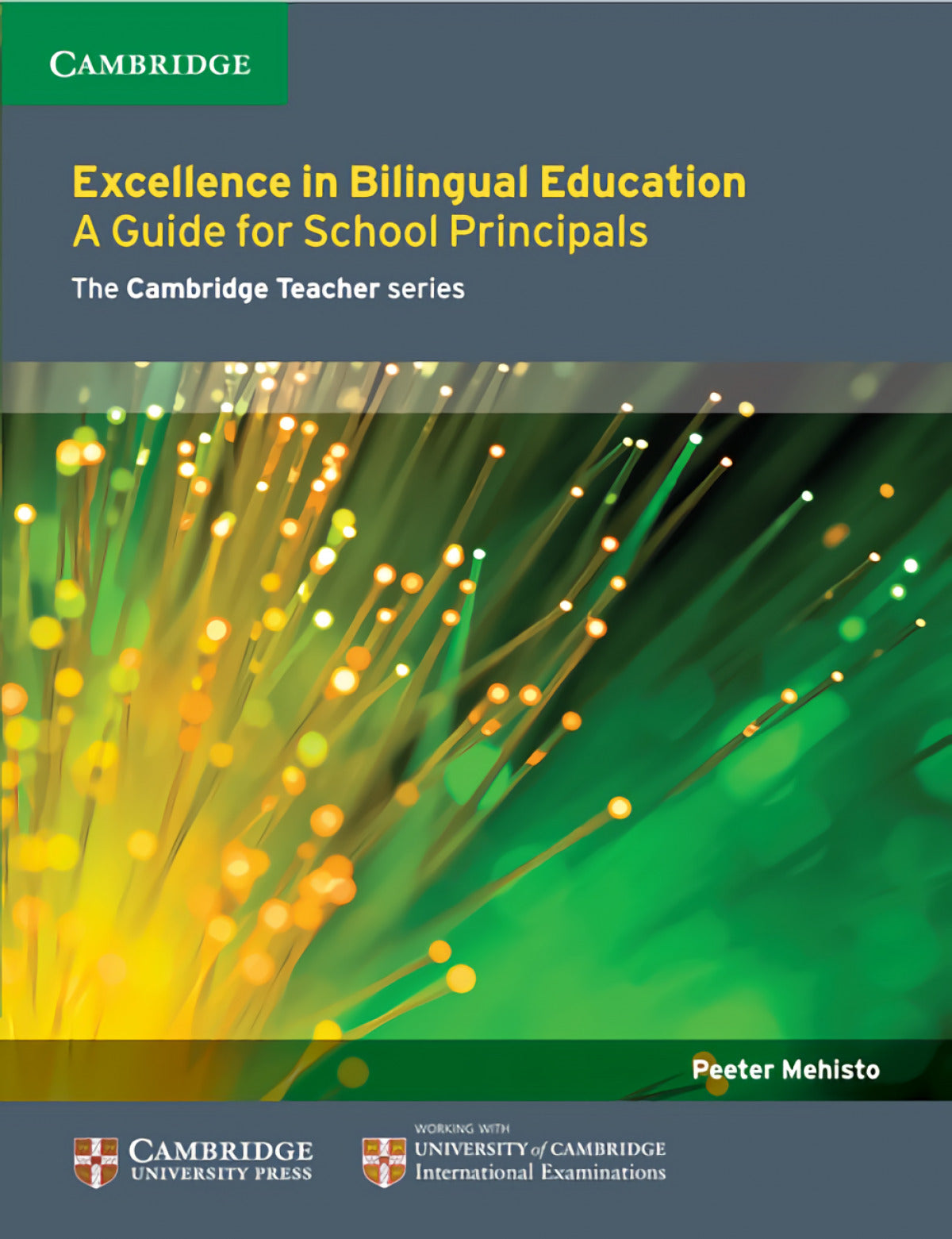 Excellence In Bilingual Education Imagen principal del producto