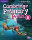 Cambridge Primary Path 6º EP St 20 (Cambridge) - 9781108709927