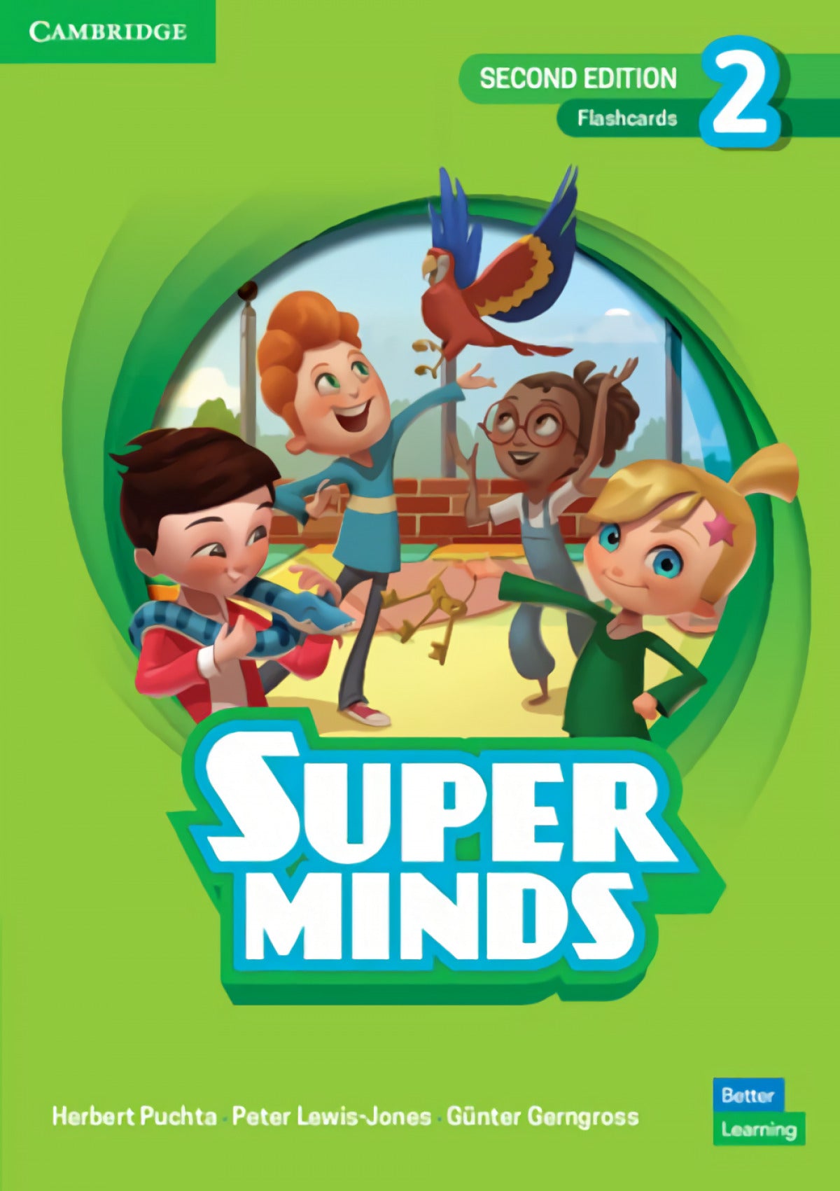 Super Minds 2 Flashcards