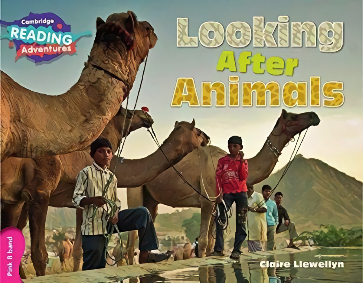 Looking After Animals Imagen principal del producto