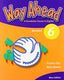 Way Ahead 6 WB HEIIN16EP (Macmillan) - 9781405059251